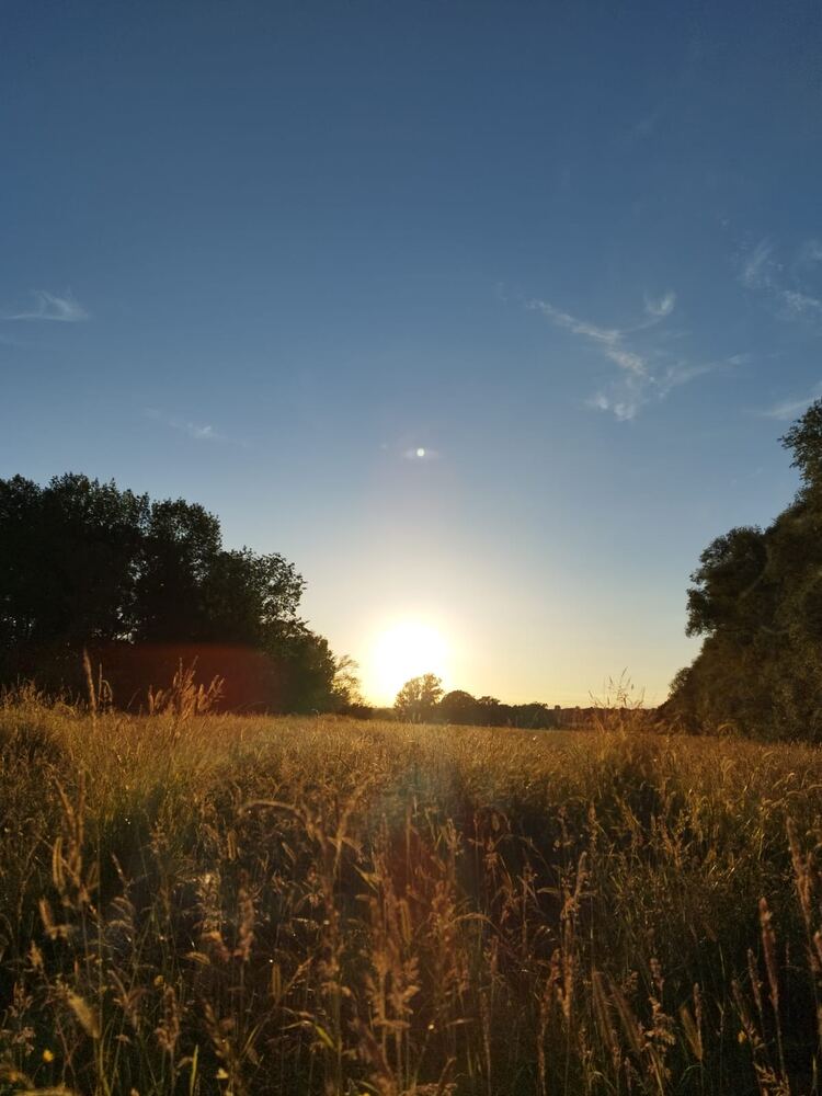 Sunset over the woodland where the deer roam